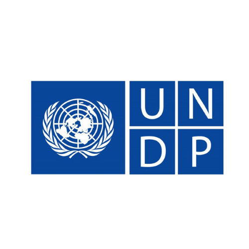 pnud.png 